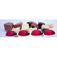 Huguenot Fine Chocolates image